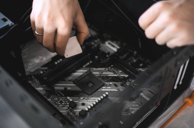 Yakışıklı bir ineğin portresi bilgisayar anakart ve serin hizmet veriyor..