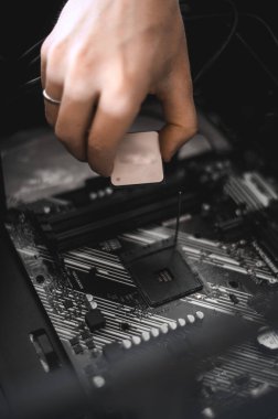 Yakışıklı bir ineğin portresi bilgisayar anakart ve serin hizmet veriyor..