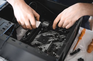 Yakışıklı bir ineğin portresi bilgisayar anakart ve serin hizmet veriyor..