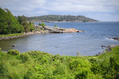 Tonsberg şehri çevresindeki doğa Norveç taş plajı ve yaz ormanı