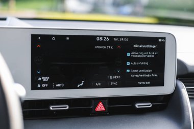 Tonsberg, Norveç - 4 Temmuz 2021: suya yakın mavi gri Hyundai Ioniq elektrikli karbon.