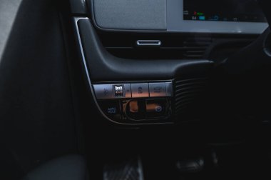 Tonsberg, Norveç - 4 Temmuz 2021: suya yakın mavi gri Hyundai Ioniq elektrikli karbon.