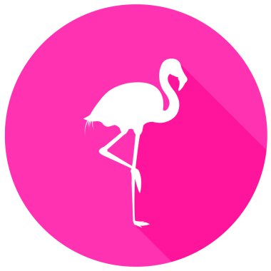 Beyaz flamingo ve pembe arka plan