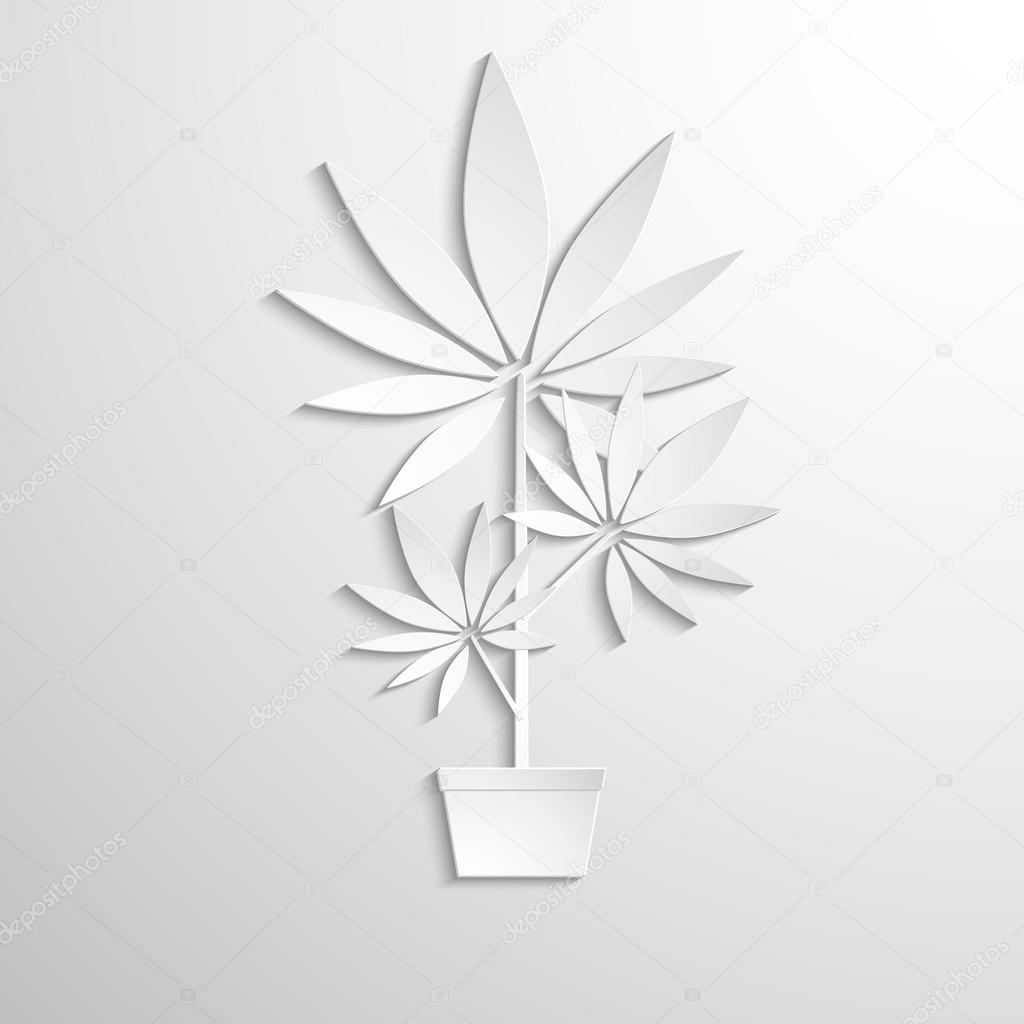 symbol of marijuana cut white paper