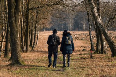 Küçük sırt çantalı, kalın kışlık paltolu ve sıcak yün şapkalı iki insan ulusal bir parkın ormanında yürüyor..