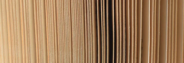 Close up taken of paper brown book pages in soft light.