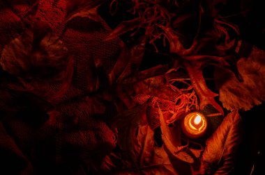 Gece vakti, sonbahar yapraklarıyla çevrili tek bir bal mumunun yaşamı