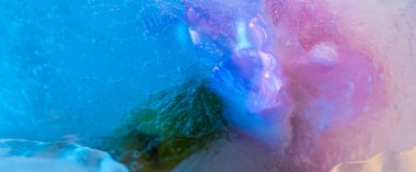 Buza hapsolmuş pembe karanfilin soyut görüntüsü