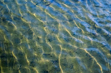 Nehirdeki güneş ışığının tepe noktası.