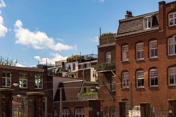 Amsterdam Netherlands May 2021 Image Rooftop Terraces Amsterdam Sunny Spring — Stockfoto