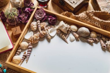 Tahta bir tepsi, deniz kabukları ve ahşap bir masada kurumuş pembe güller.