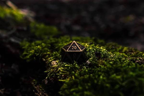 Close Image Metallic Sided Die Bed Moss Just Being Lit — Stock Photo, Image