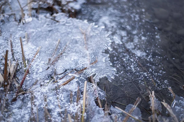 Gras Bevroren Ijs Rivieroever Met Ijsschotsen Macro Winterlandschap Natuurverschijnselen — Stockfoto