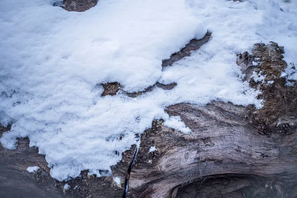 Κατάστρωμα Κούτσουρο Στο Χιόνι Κομμένα Από Ένα Δέντρο Που Καλύπτεται — Φωτογραφία Αρχείου