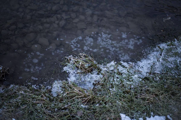 Χόρτο Κατεψυγμένα Πάγο Όχθη Του Ποταμού Παγόβουνα Μακροεντολή Χειμερινό Τοπίο — Φωτογραφία Αρχείου