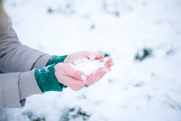 Снег Руках Девушки Варежки Морозный День Покрасневшие Руки Холода Зимняя — стоковое фото