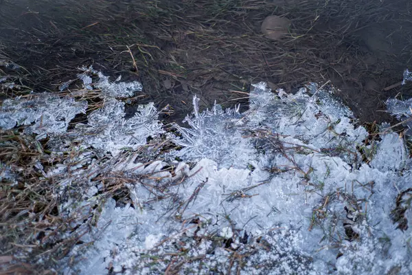 Hierba Congelada Hielo Ribera Con Témpanos Hielo Macro Paisaje Invernal — Foto de Stock