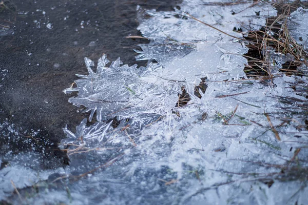 Hierba Congelada Hielo Ribera Con Témpanos Hielo Macro Paisaje Invernal — Foto de Stock