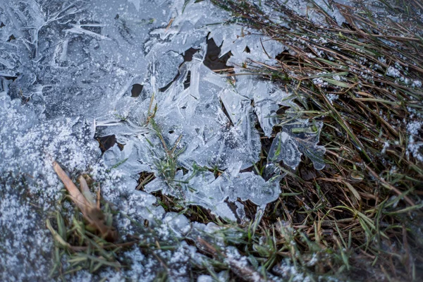 Grama Congelada Gelo Margem Rio Com Gelo Floes Macro Paisagem — Fotografia de Stock