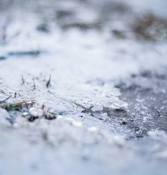 Заморожена Вода Взимку Трава Льоду Берег Річки Крижаними Потоками Макро — стокове фото