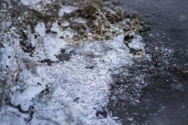 Заморожена Вода Взимку Трава Льоду Берег Річки Крижаними Потоками Макро — стокове фото