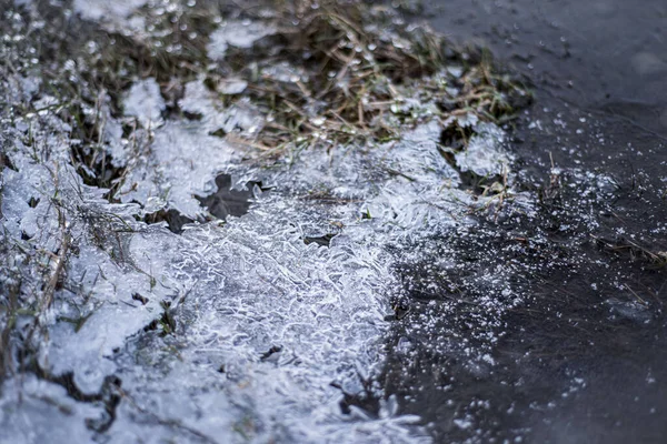 Agua Congelada Invierno Hierba Hielo Ribera Del Río Con Témpanos — Foto de Stock