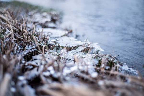 Agua Congelada Invierno Hierba Hielo Ribera Del Río Con Témpanos — Foto de Stock