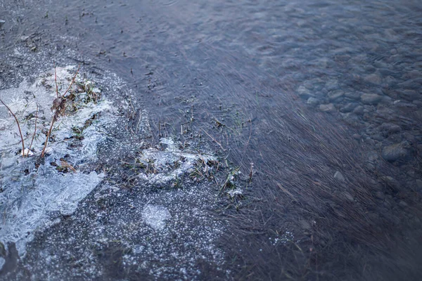 Agua Congelada Invierno Hierba Hielo Ribera Del Río Con Témpanos — Foto de Stock