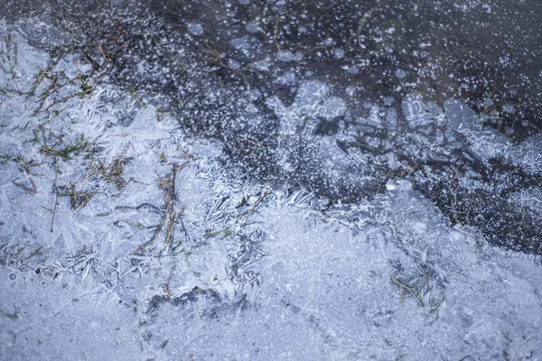 Заморожена Вода Взимку Трава Льоду Берег Річки Крижаними Потоками Макро — стокове фото