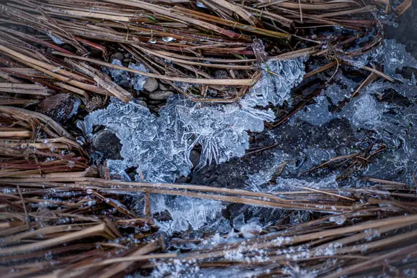 Agua Congelada Invierno Hierba Hielo Ribera Del Río Con Témpanos — Foto de Stock