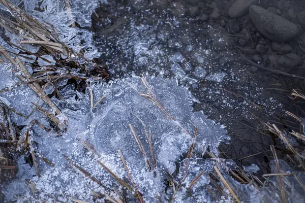 Agua Congelada Invierno Hierba Hielo Ribera Del Río Con Témpanos — Foto de Stock