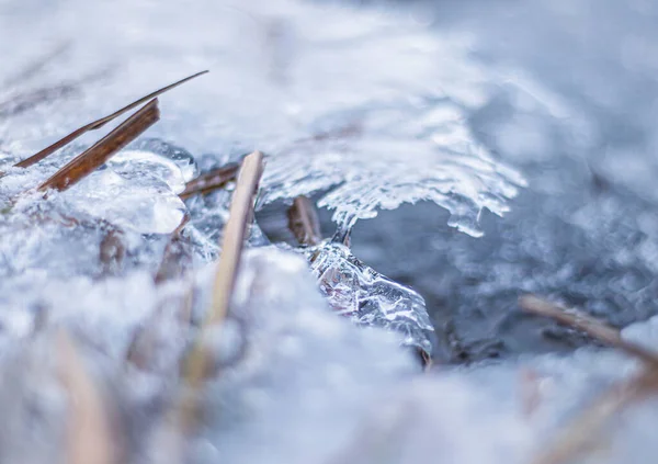 Παγωμένο Νερό Χειμώνα Γρασίδι Στον Πάγο Όχθη Του Ποταμού Παγόβουνα — Φωτογραφία Αρχείου