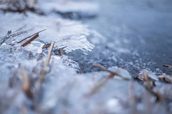 Παγωμένο Νερό Χειμώνα Γρασίδι Στον Πάγο Όχθη Του Ποταμού Παγόβουνα — Φωτογραφία Αρχείου