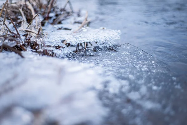 frozen water in winter, grass in ice, river bank with ice floes, macro, winter landscape, natural phenomena