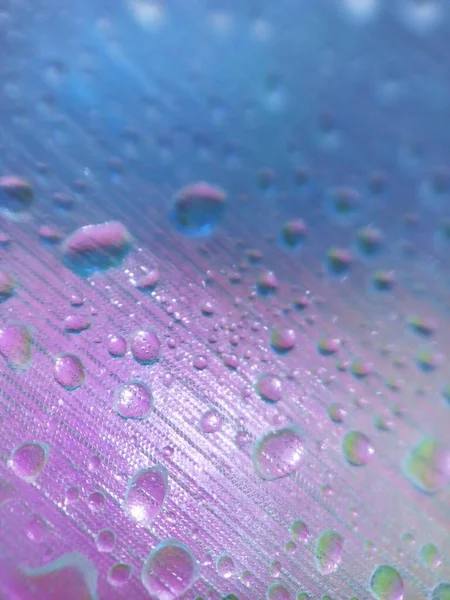 Wassertropfen Super Makro Violette Tönung Abstraktes Bokeh Farbhintergrundbild Vertikale Anordnung — Stockfoto