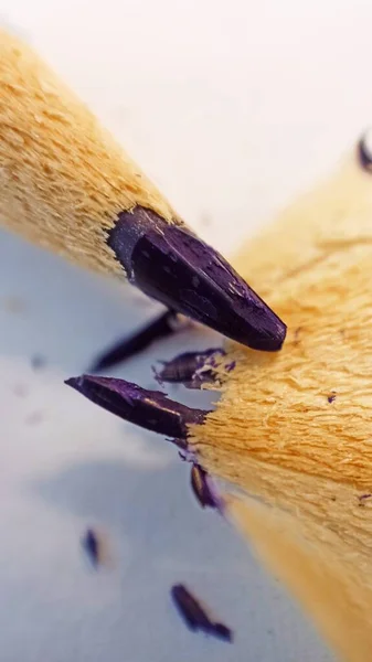 Bleu Crayon Graphite Fragments Macro Copeaux Crayon — Photo