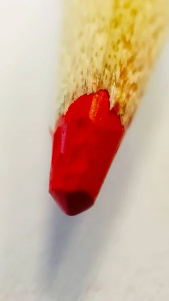 Renkli Kalemler Yakın Çekim Süper Makro Grafit Ahşap — Stok fotoğraf