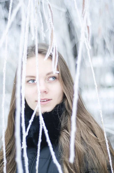 Загадочный Портрет Женщины Зимой Взгляд Девушки Сквозь Ледяные Ветви Красивые — стоковое фото