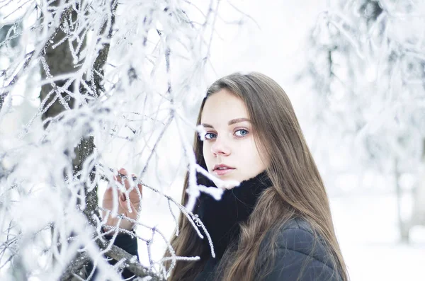 Ritratto Misterioso Una Donna Inverno Sguardo Una Ragazza Attraverso Rami — Foto Stock