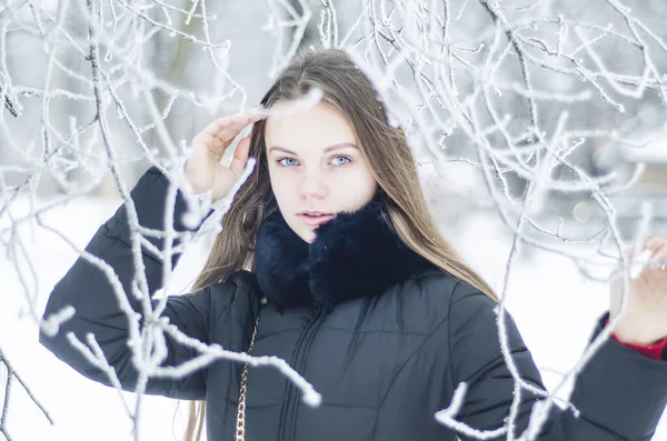 Ritratto Misterioso Una Donna Inverno Sguardo Una Ragazza Attraverso Rami — Foto Stock
