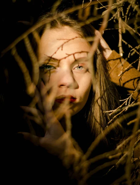 mysterious portrait of a woman, a girl\'s look through the branches, beautiful eyes