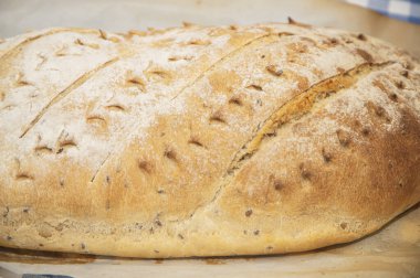 Bir somun taze ev yapımı keten tohumu, taze pişmiş ekmeğin dikenli desenleri, mayasız ev yapımı hamur işleri, mavi kareli masa örtüsünde pişmiş yiyecekler.