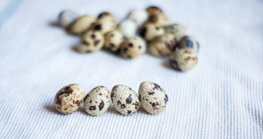 Beyaz kumaşlı bıldırcın yumurtaları, mutfak havlusu, Paskalya için hazırlanan bıldırcın yumurtaları, lezzetli bir Paskalya tatili için hazırlanan bıldırcın yumurtaları, ev yapımı bıldırcın yumurtaları.