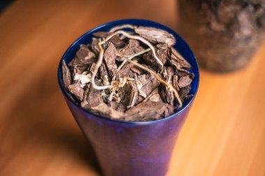 Phalaenopsis için kuru kabuk, evde süs bitkileri yetiştirmek, masada orkideler için toprak olarak ağaç kabuğu.