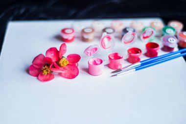 beyaz bir tuval üzerinde beyaz tuval ve fırçalarla boyanmış boş bir kağıt ve pembe boya tabakası, rakamlarla yapılmış tablolar, gelecekteki bir resim ve açık renkli yaratıcılık seti.