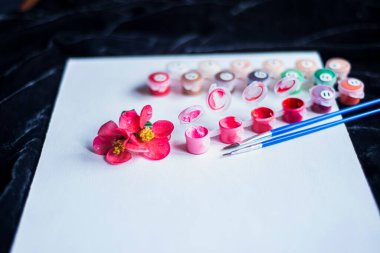 beyaz bir tuval üzerinde beyaz tuval ve fırçalarla boyanmış boş bir kağıt ve pembe boya tabakası, rakamlarla yapılmış tablolar, gelecekteki bir resim ve açık renkli yaratıcılık seti.