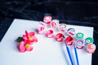 beyaz bir tuval üzerinde beyaz tuval ve fırçalarla boyanmış boş bir kağıt ve pembe boya tabakası, rakamlarla yapılmış tablolar, gelecekteki bir resim ve açık renkli yaratıcılık seti.