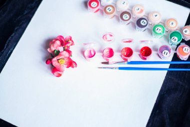 Tüplerdeki boyalar ve beyaz bir tuvaldeki fırçalar, numaralarla yapılmış tablolar, boş bir kağıt ve pembe boyalar, yeni başlayanlar için tablolar ve yakın plan bir tuvaldeki bahar kırmızı çiçekleri, yaratıcılık için bir set. 