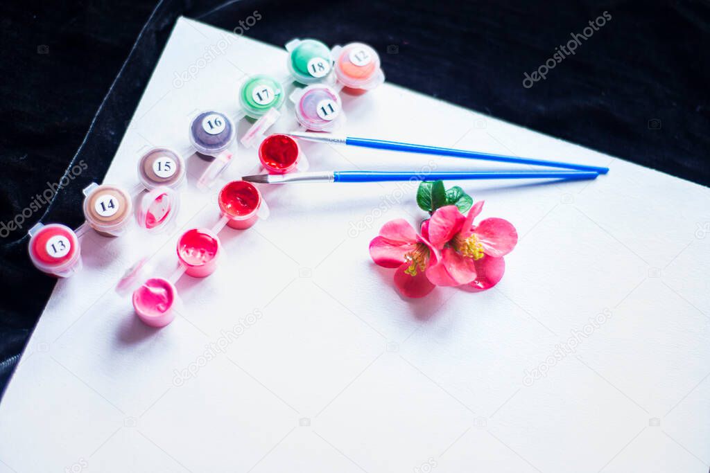 a blank sheet of paper and pink paints, paints in tubes with numbers of colors and brushes on a white canvas, paintings by numbers, a future painting and a set for creativity in light gentle colors