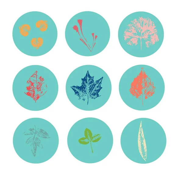 Набір Круглих Синіх Іконок Різними Осінніми Листками Дизайну Соціальних Мережах — стокове фото